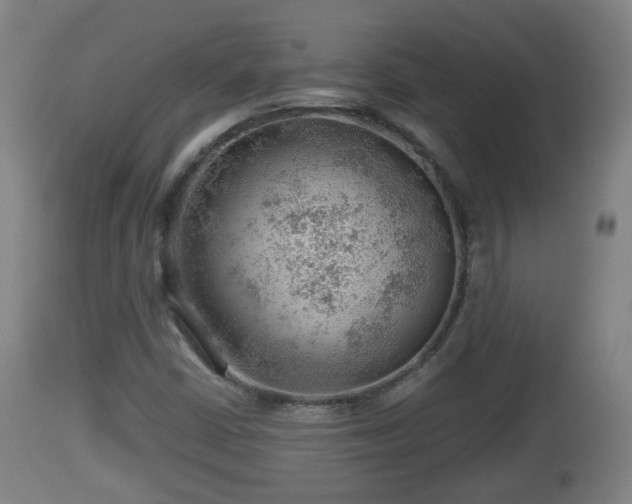 X0000112811402200908281456