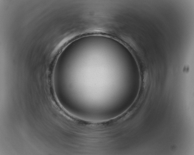 X0000112811404200908281456