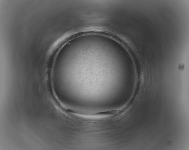 X0000112811406200908281456