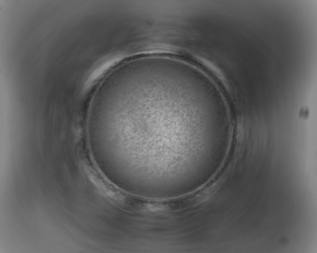 X0000112811407200908281456