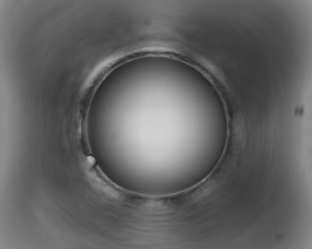 X0000112811408200908281456