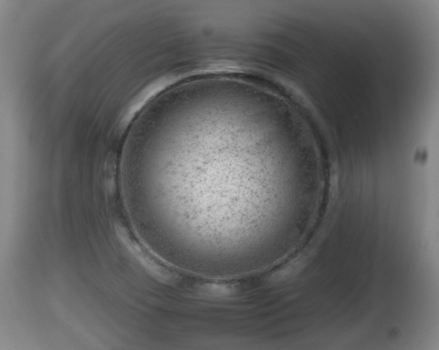 X0000112811409200908281456