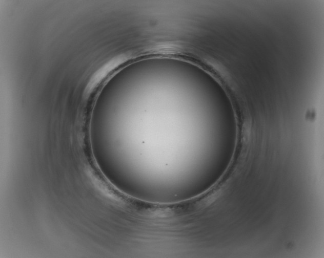 X0000112811410200908281456