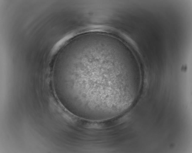 X0000112811411200908281456