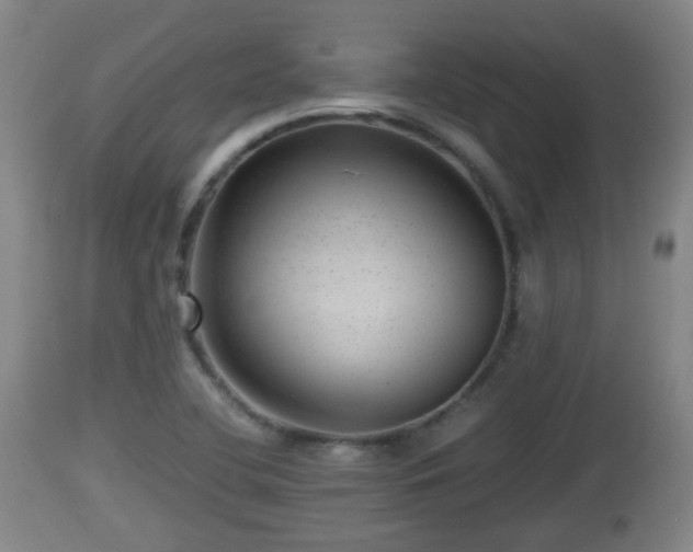 X0000112811412200908281456