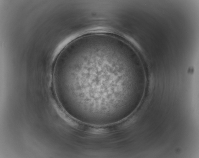 X0000112811413200908281456