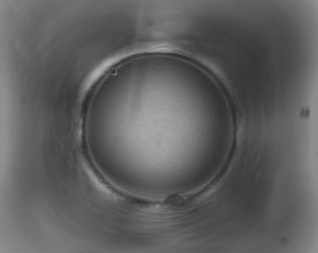 X0000112811414200908281456