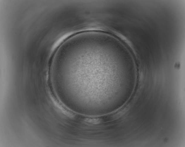 X0000112811415200908281456