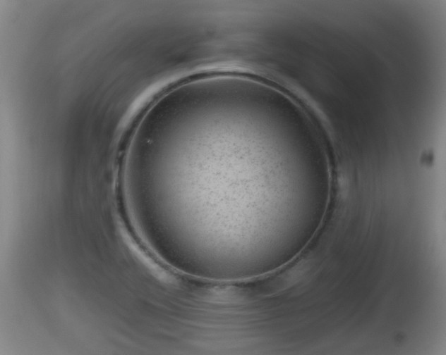 X0000112811416200908281456