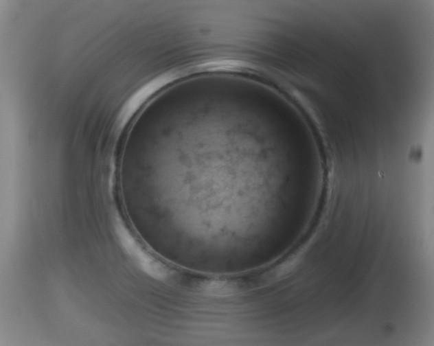 X0000112811418200908281456