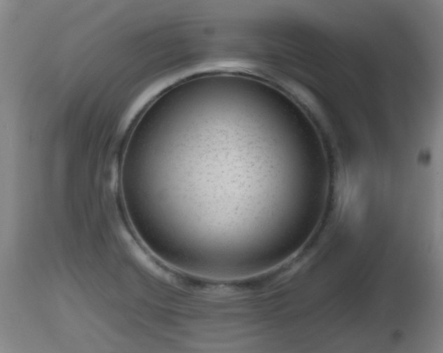 X0000112811420200908281456
