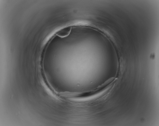 X0000112811422200908281456