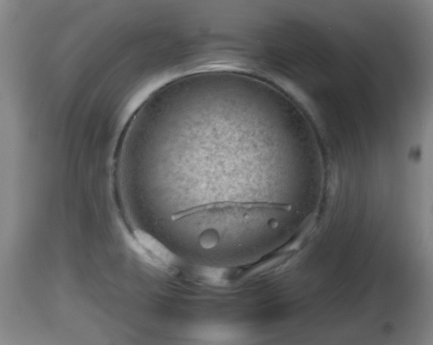 X0000112811423200908281456