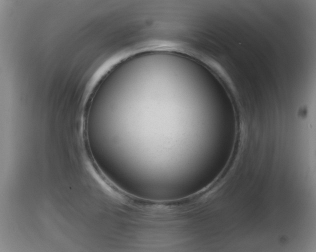 X0000112811424200908281456