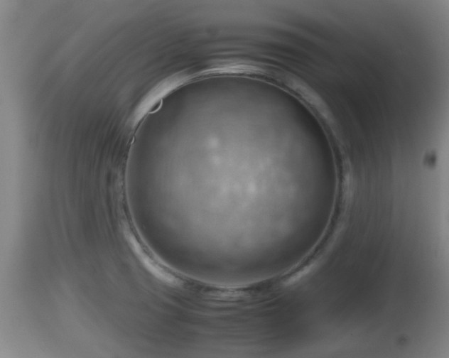 X0000112811425200908281456