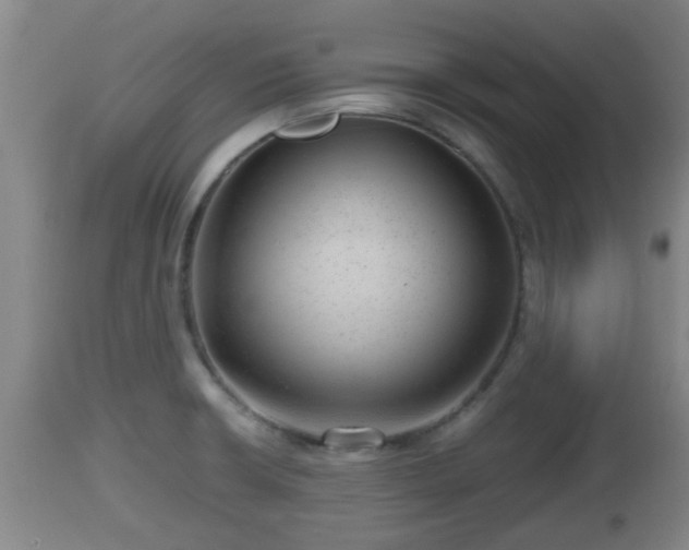 X0000112811426200908281456