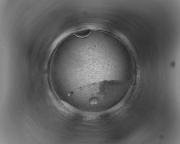 X0000112811427200908281456