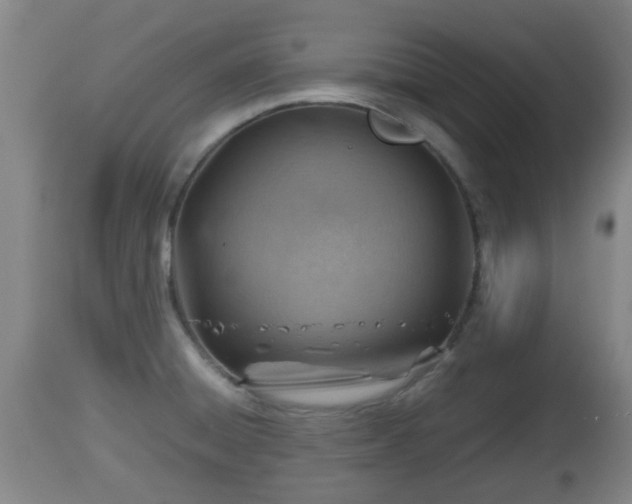 X0000112811428200908281456