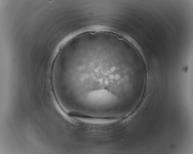 X0000112811429200908281456