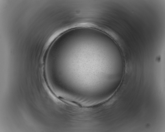 X0000112811430200908281456