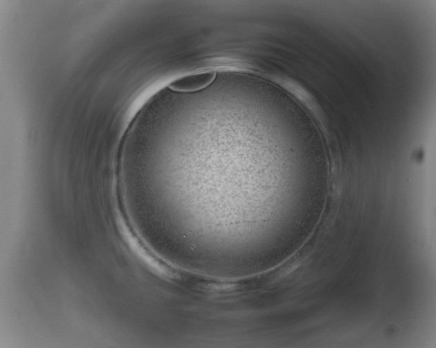 X0000112811431200908281456