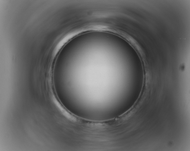 X0000112811432200908281456