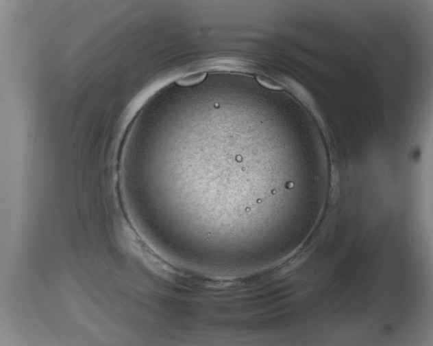 X0000112811435200908281456