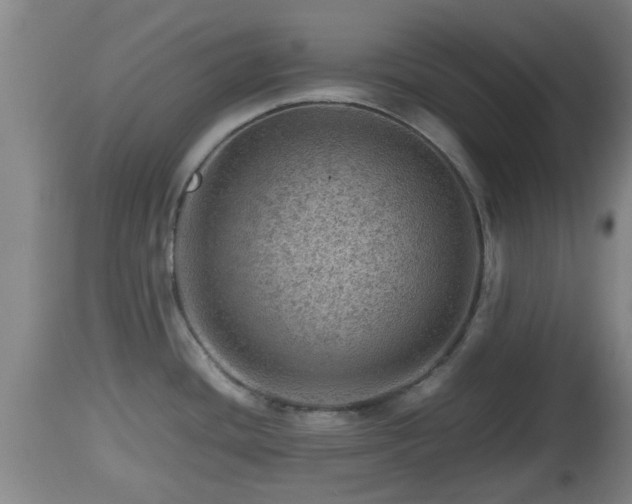 X0000112811436200908281456
