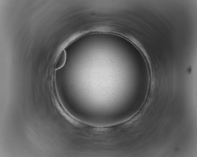 X0000112811437200908281456