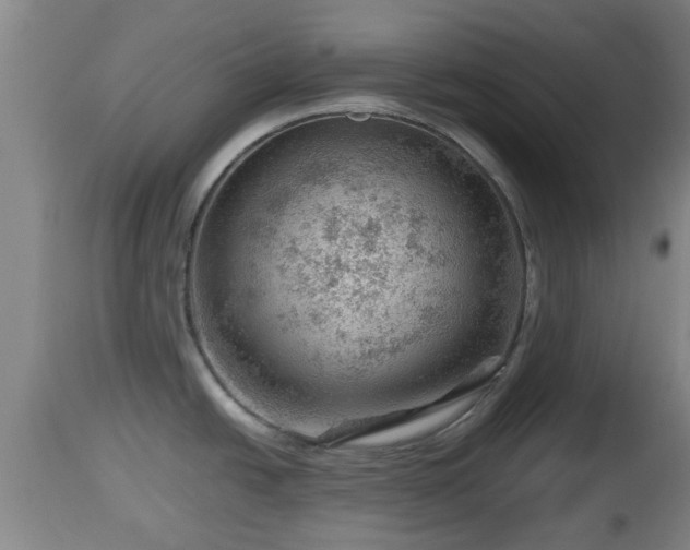 X0000112811438200908281456