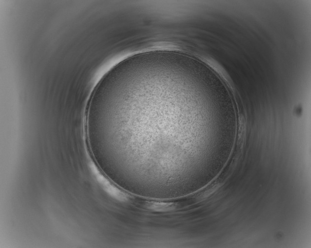 X0000112811439200908281456