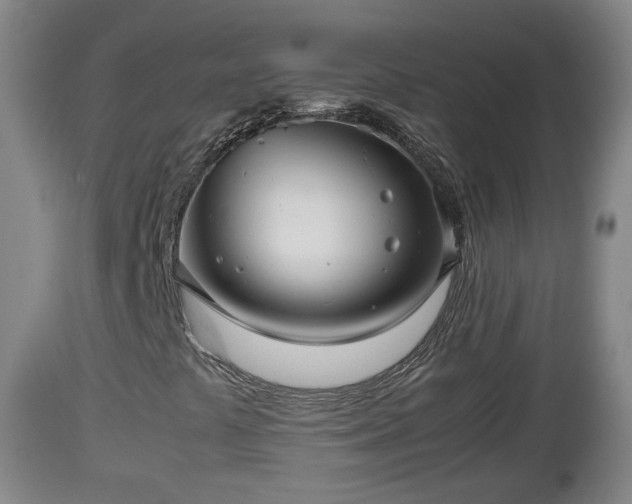 X0000112811441200908281456