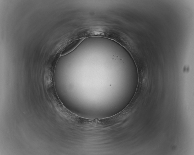 X0000112811442200908281456