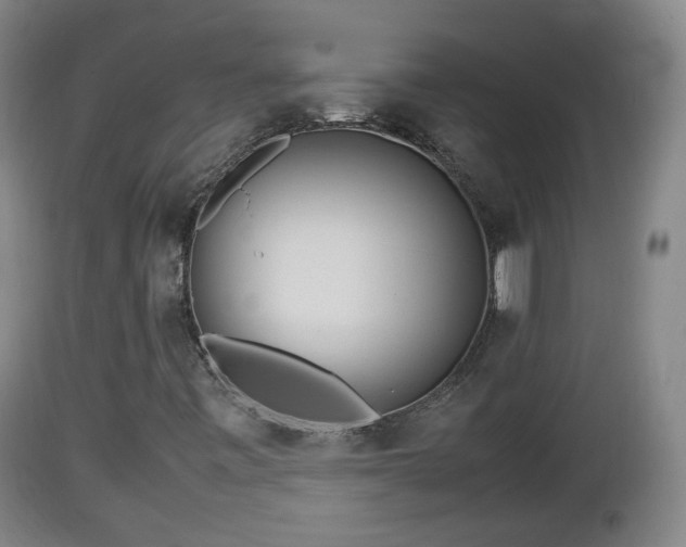 X0000112811443200908281456
