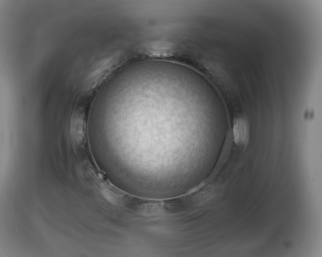 X0000112811444200908281456