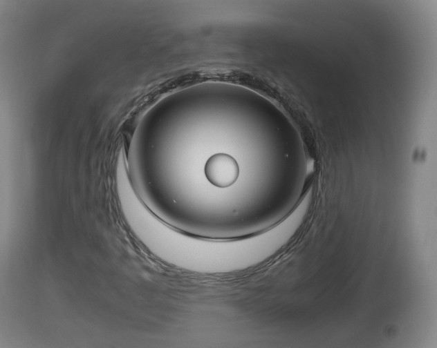 X0000112811445200908281455