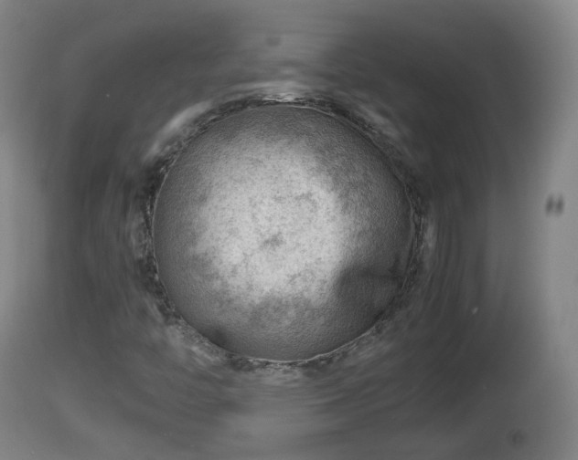X0000112811446200908281455