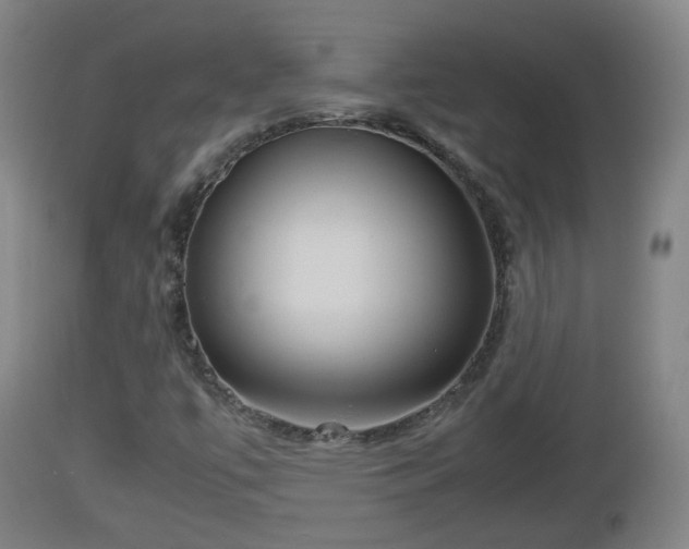 X0000112811447200908281455