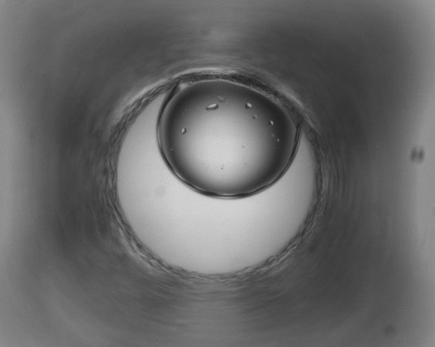 X0000112811448200908281455