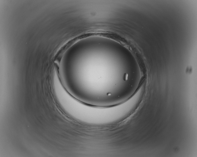 X0000112811449200908281455
