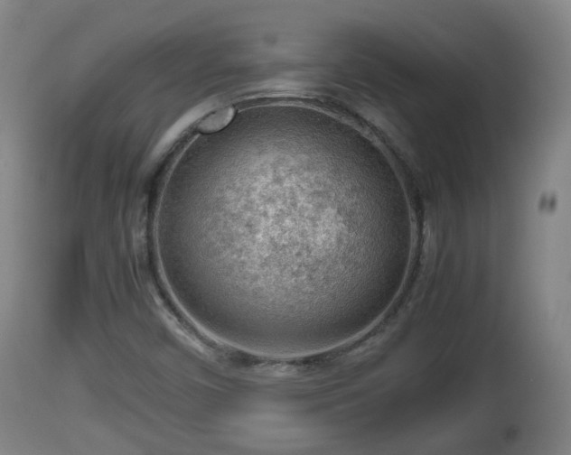 X0000112811450200908281455