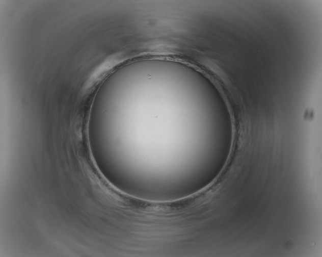 X0000112811451200908281455