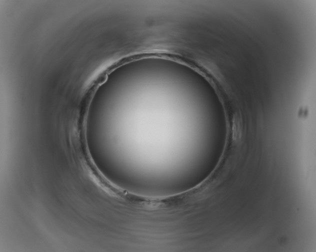 X0000112811452200908281455