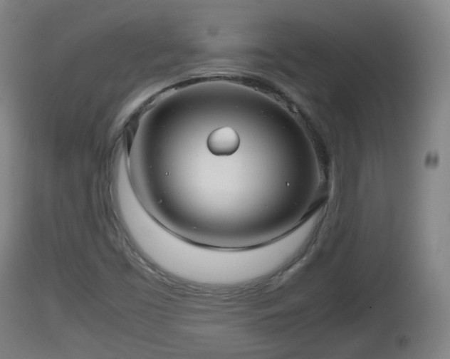 X0000112811453200908281455