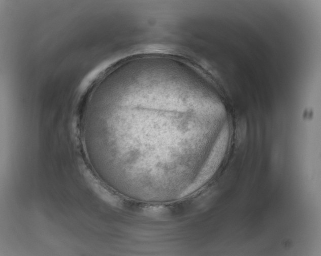 X0000112811454200908281455