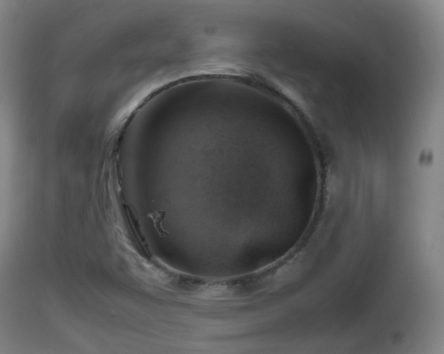 X0000112811455200908281455