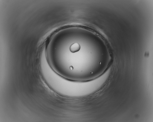 X0000112811456200908281455
