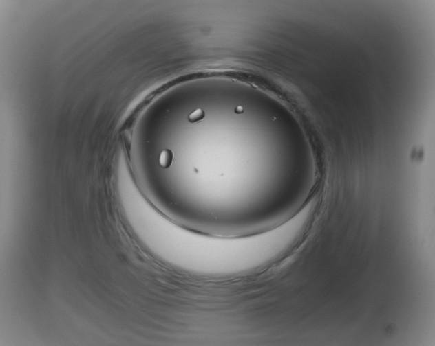 X0000112811457200908281455