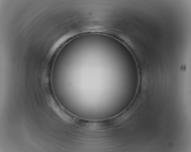 X0000112811458200908281455