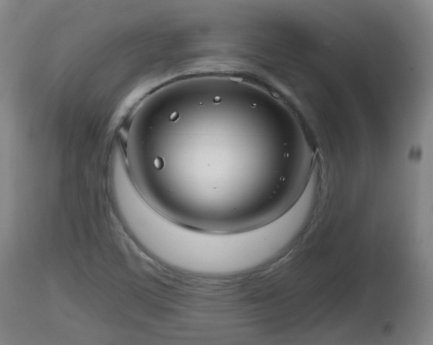 X0000112811459200908281455